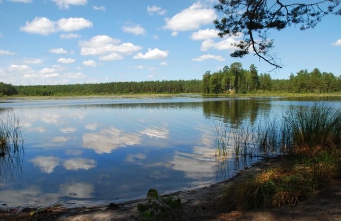 Фото з відкритих джерел