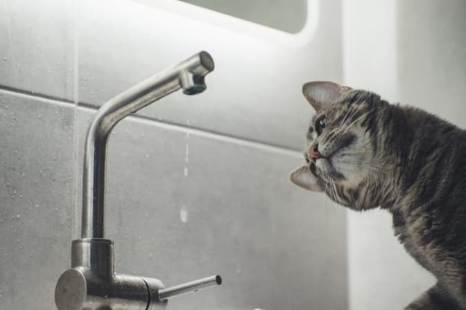 Відсутність води. Фото: з вікритих джерел