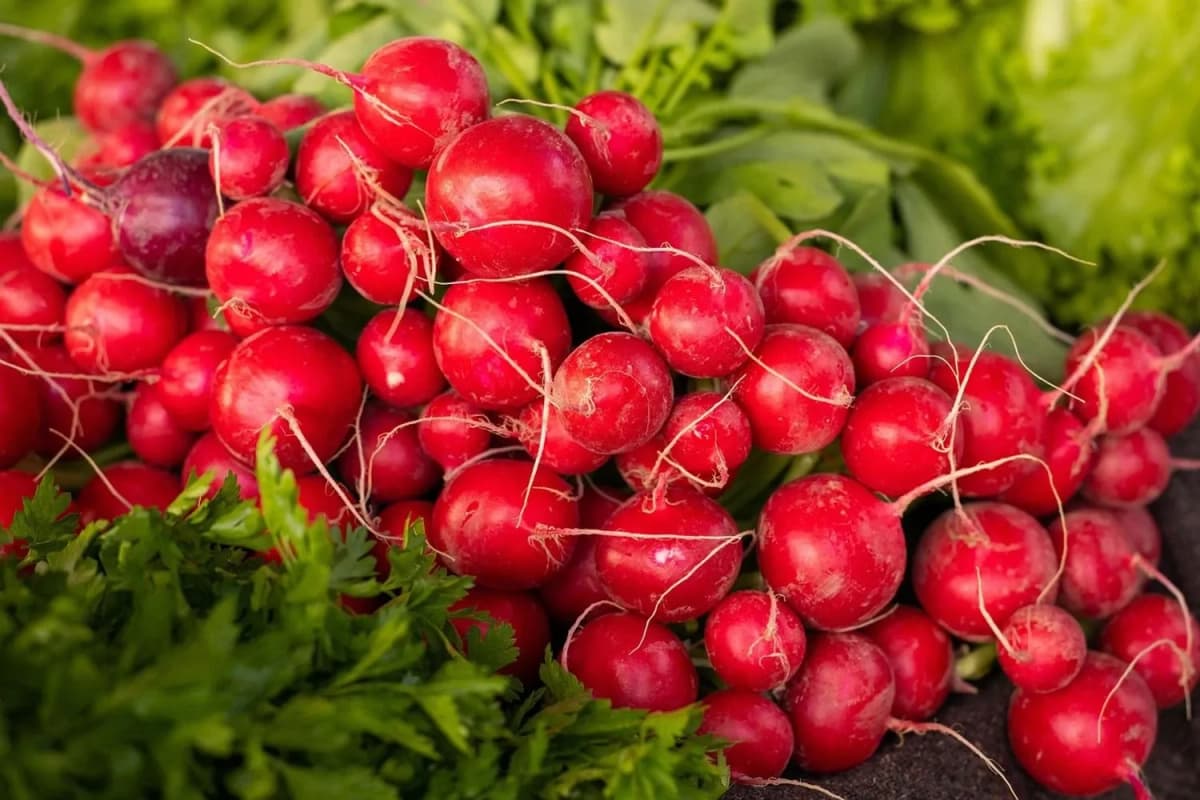 Свіжа продукція біля дому: адреси сезонних ярмарків, які працюватимуть у Києві цього тижня