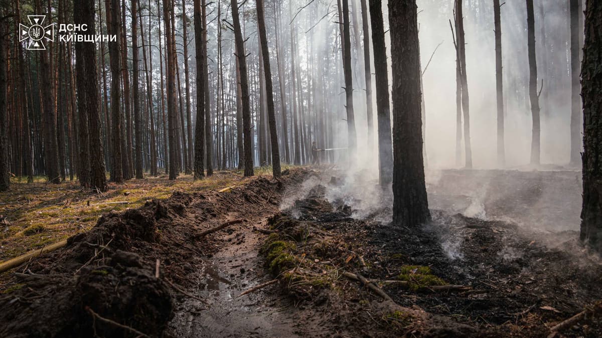 На Київщині четверту добу гасять масштабну лісову пожежу: вогонь охопив 2500 гектарів