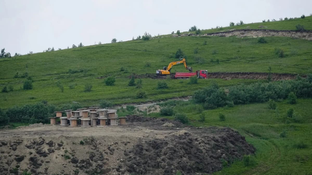Праліси вже вирубали, але дозвіл скасували: що вирішив суд щодо полонини Руна