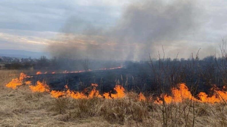 У Львові оголосили надзвичайну пожежну небезпеку: містян закликають не палити сухостій