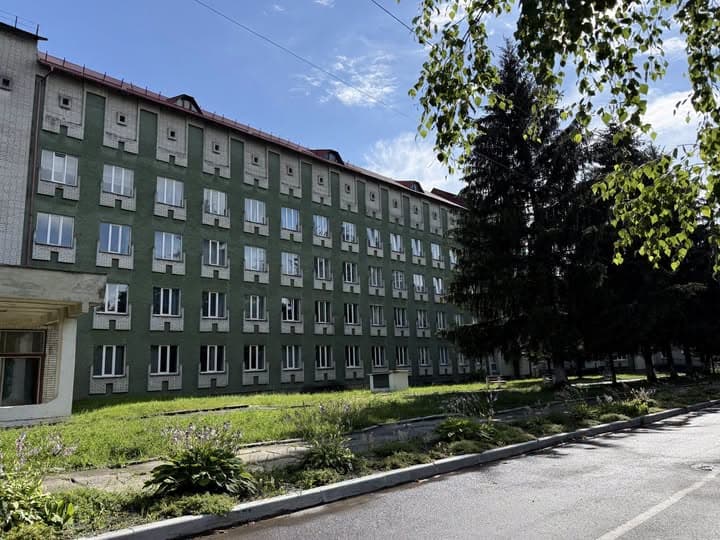 Гриб із подвір’я ледь не коштував здоров’я: у Дрогобичі госпіталізували однорічну малечу