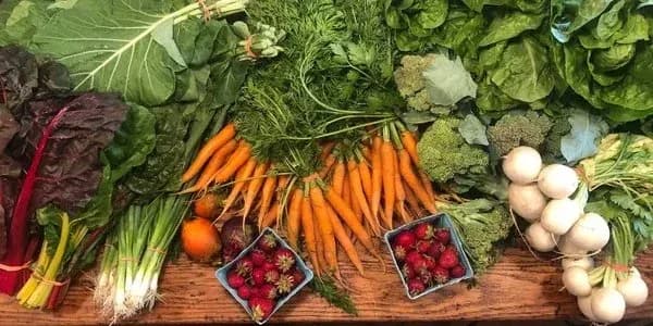Продуктові ярмарки працюватимуть у Києві шість днів: адреси у всіх районах