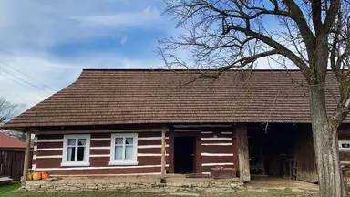 Село вимирало 30 років – одна ідея змінила все. Як відродили депресивний карпатський куточок