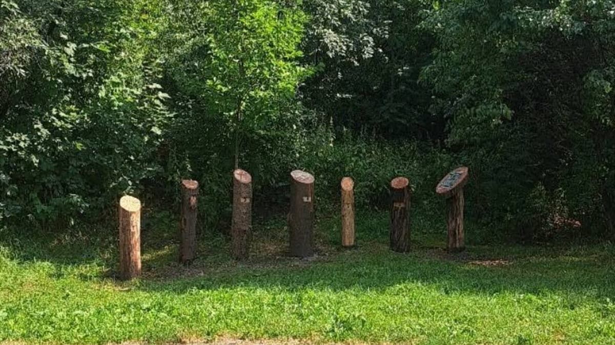 Львів'яни можуть навчитися визначати вік дерев в одному із парків: деталі