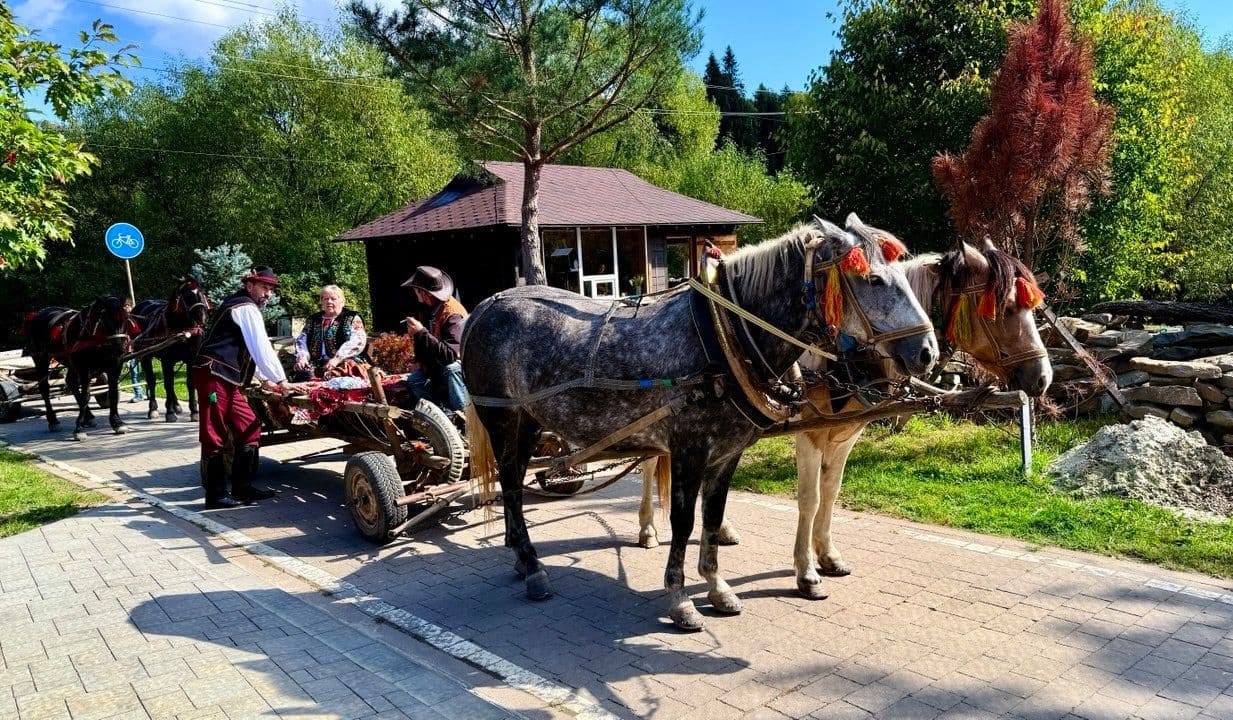 Про ці місця в Карпатах знають не всі: маршрут на один день, який вас здивує