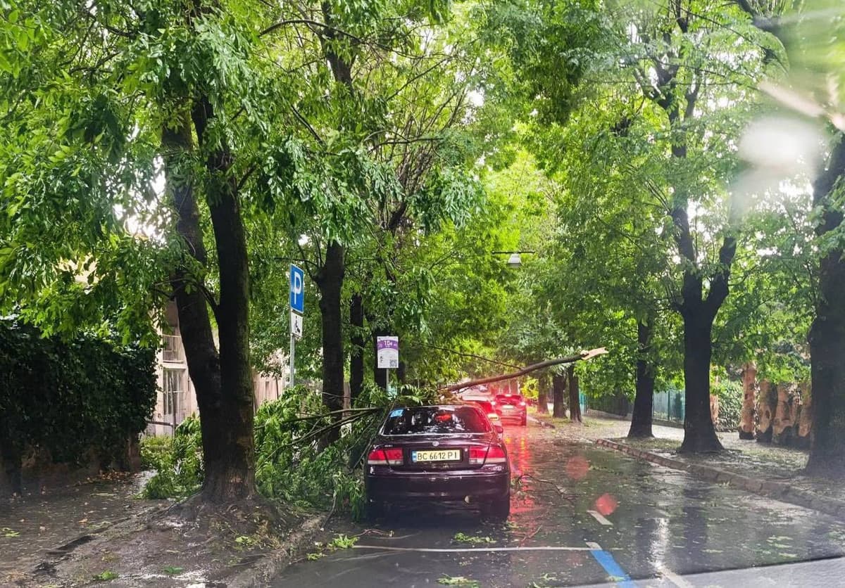 Наслідки грози у Львові. Фото