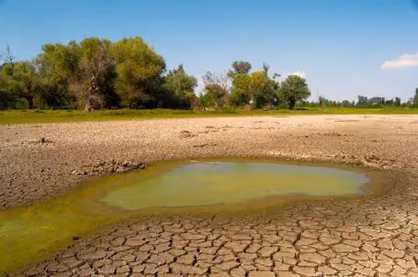 Чи загрожує Львівщині вода за графіком, як громади перевіряють на готовність до зими та що не так з секс-шопами у Львові. Ключове за 31 серпня