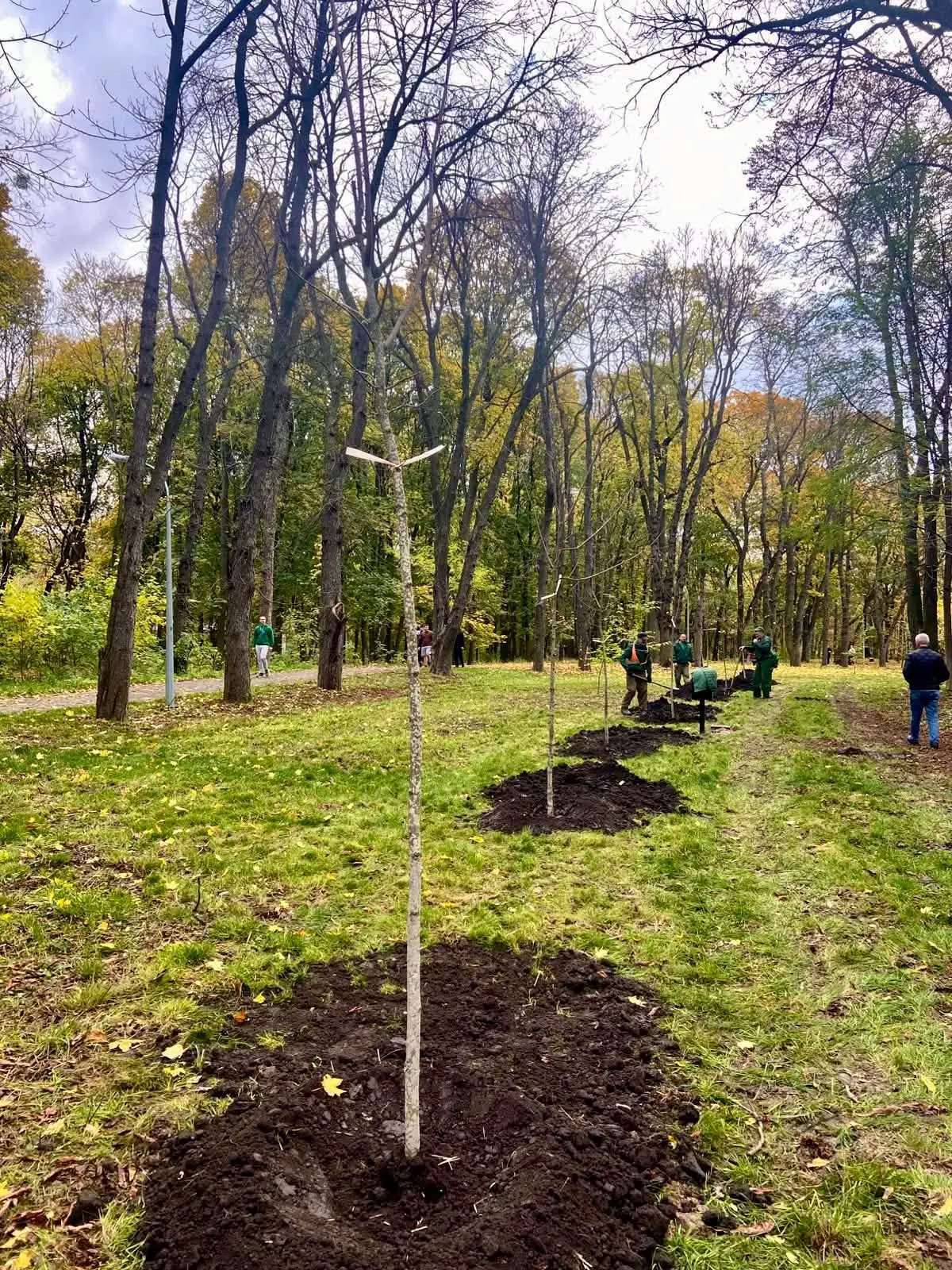 Один із найстаріших парків Києва поповнився новими деревами: що висадили