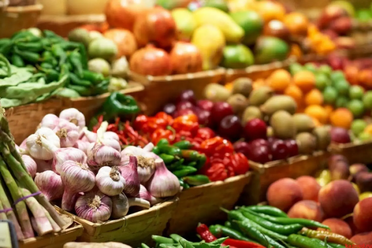 Де купити свіжі продукти у Києві цього тижня: адреси ярмарків