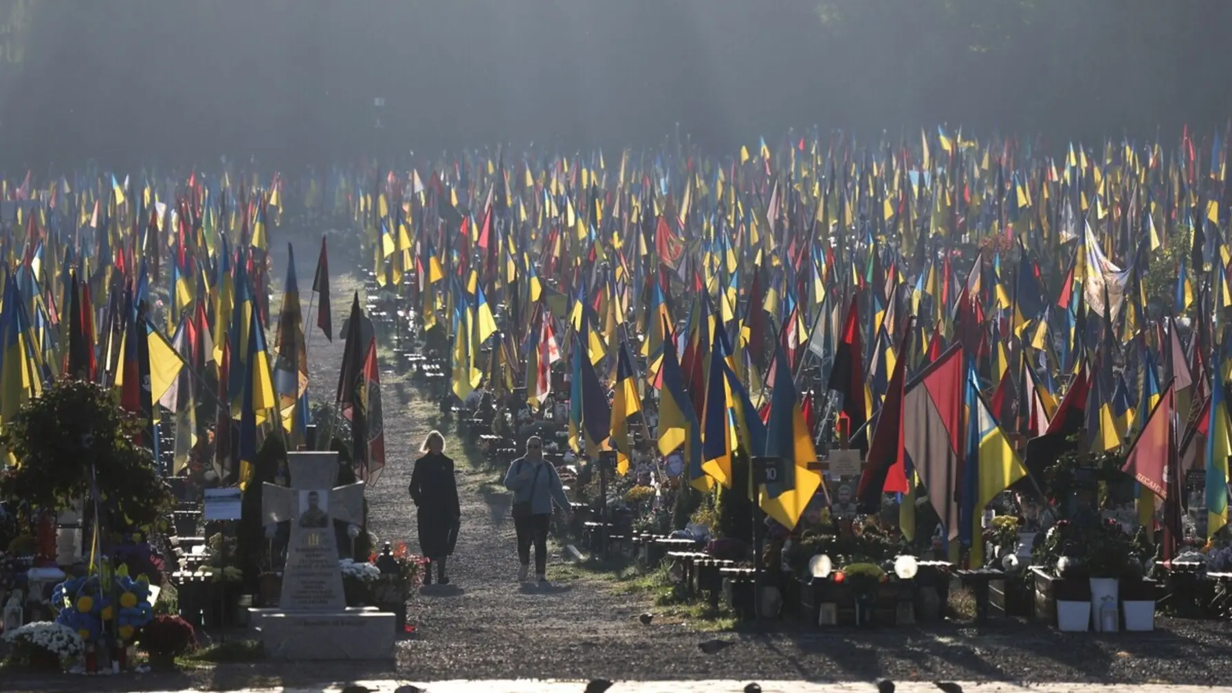Зі Львова до Житомира вирушить патріотичний "Біго-Авто-пробіг": маршрут та деталі
