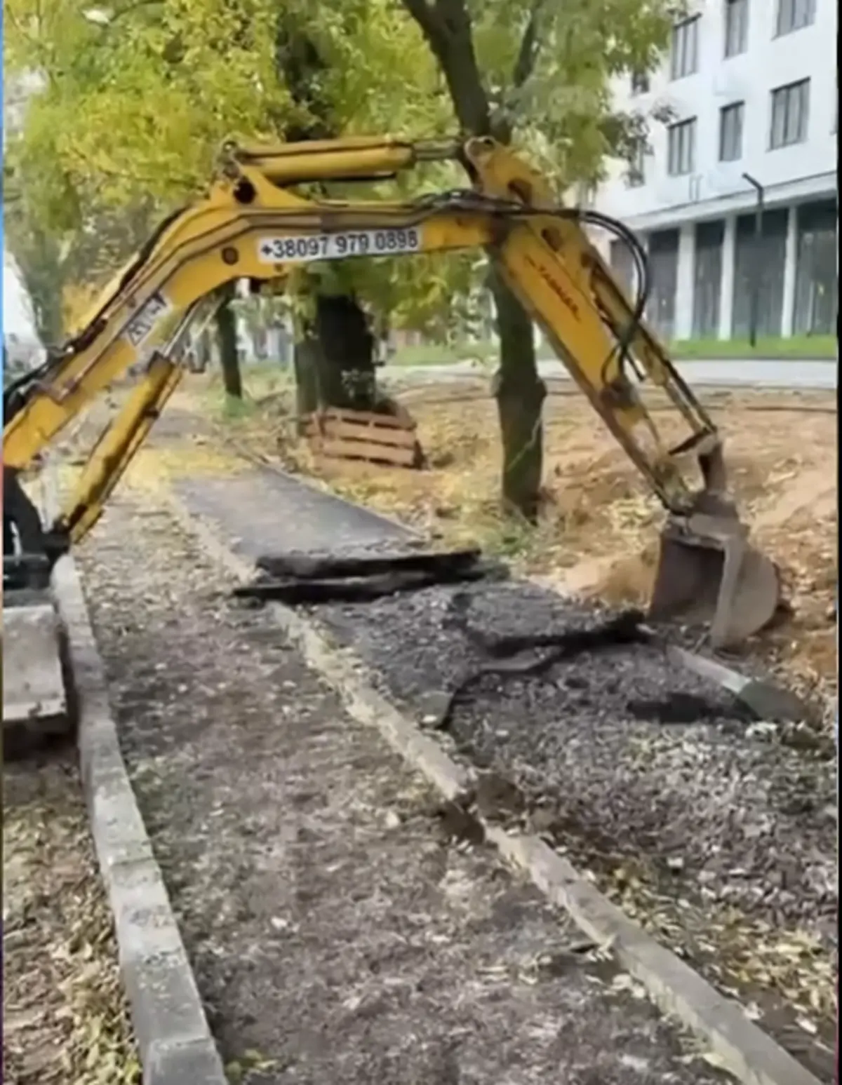 Уже облаштований простір у Львові переробляють через загрозу для дерев